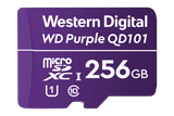 256GB microSD Card (Surveillance Grade)